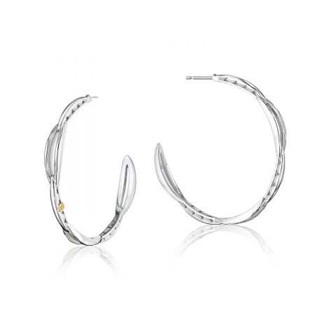 Crescent Curve Hoop Earrings