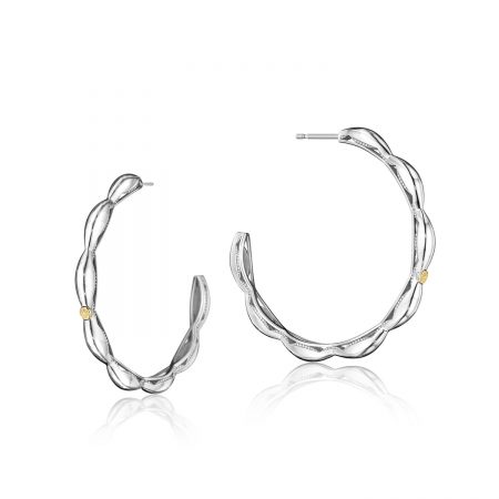 Crescent Contour Hoop Earrings