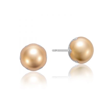 Polished Brushed Studs