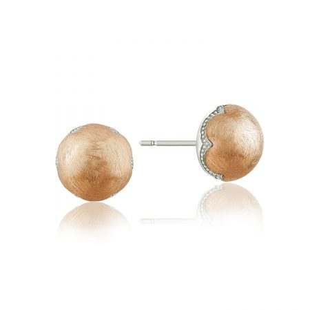 Polished Brushed Studs