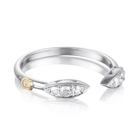 Surfboard Ring