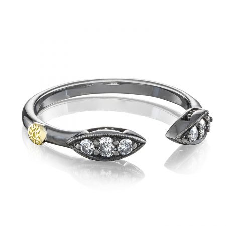 Surfboard Ring