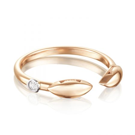 Surfboard Ring