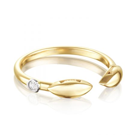 Surfboard Ring
